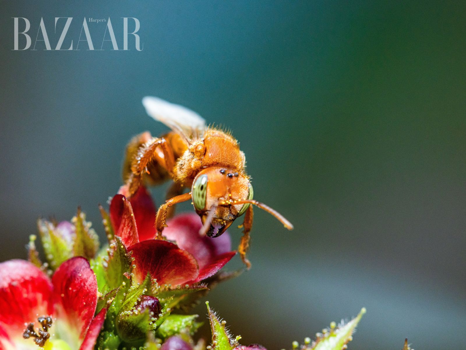 bzvn-rolex-awards-vinh-danh-nhung-sang-kien-co-tac-dong-toan-cau-7