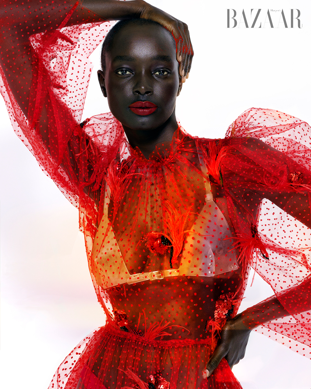 Tác phẩm điêu khắc màu đỏ thắm插图1