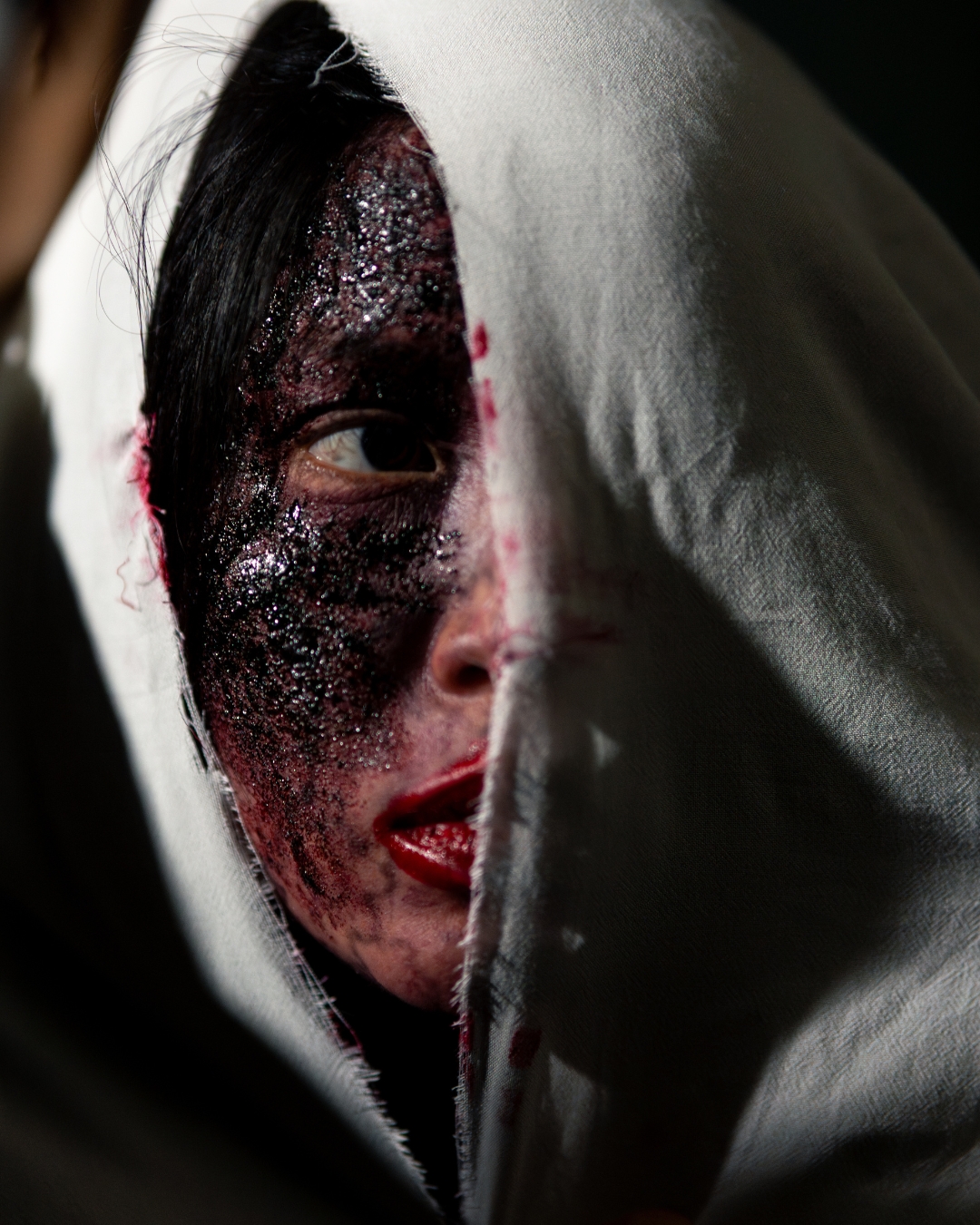 bzvn-tham-my-vien-am-phu-phim-kinh-di-xuan-lan-ngoc-trinh00001