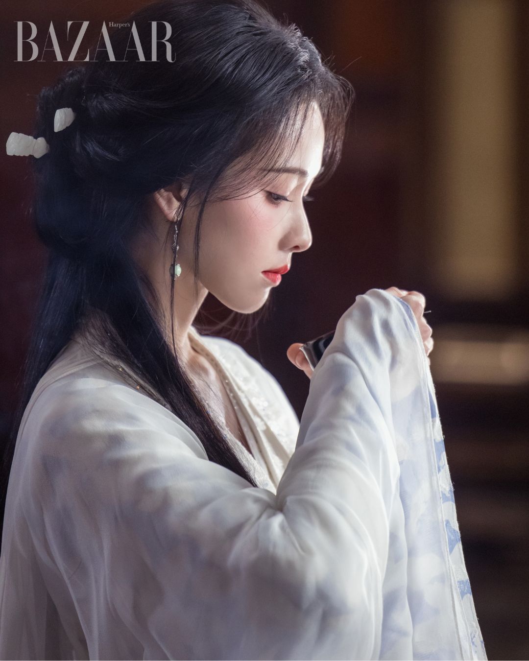 bzvn-tran-do-linh-tang-thuan-hy-tai-hop-lan-thu-tu-trong-nguyet-lan-y-ky- 6