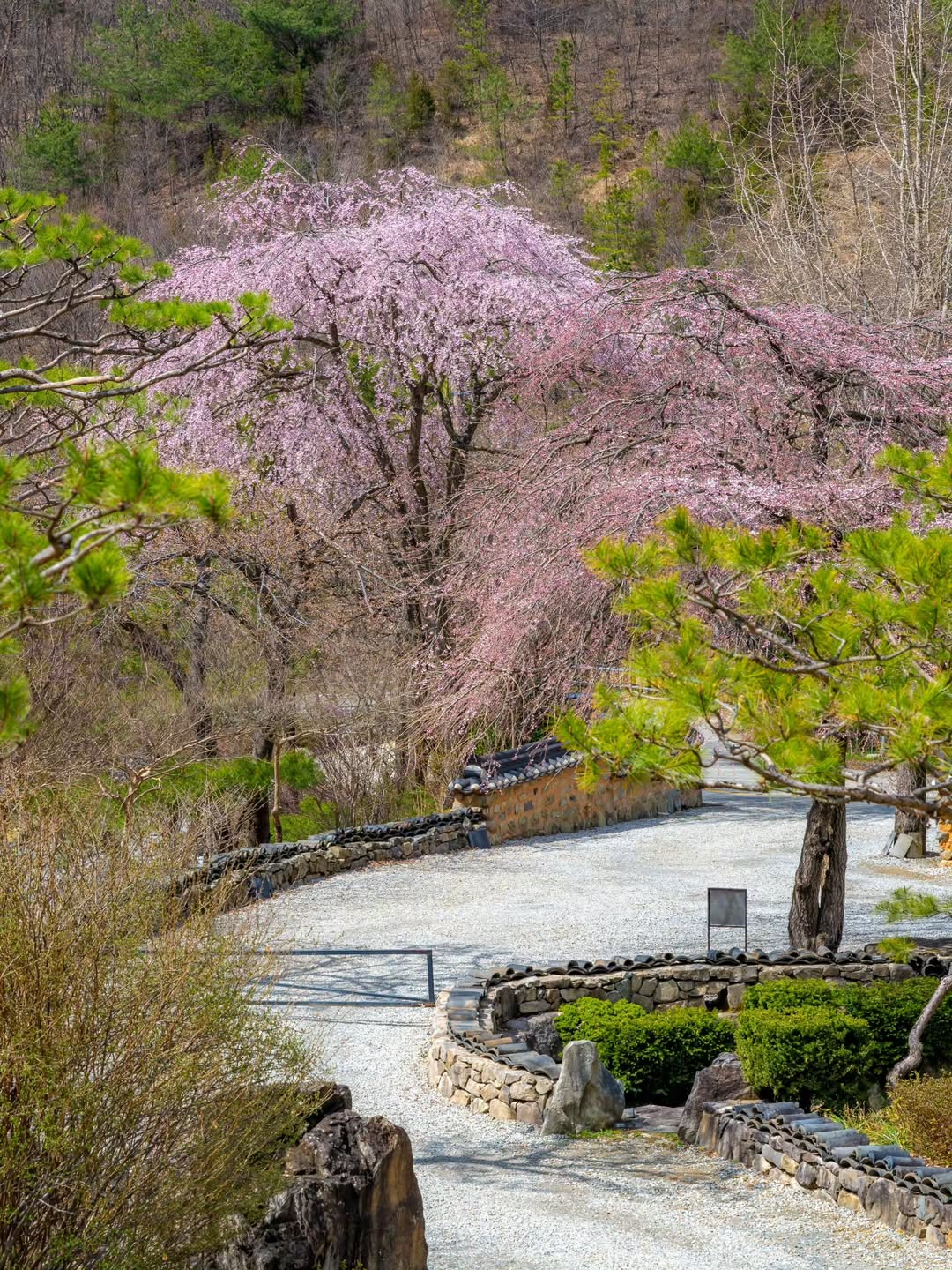 bzvn-truong-quay-perfect-crown-nha-cua-byeon-woo-seok-lee-ahn-boi-canh-phim (2)