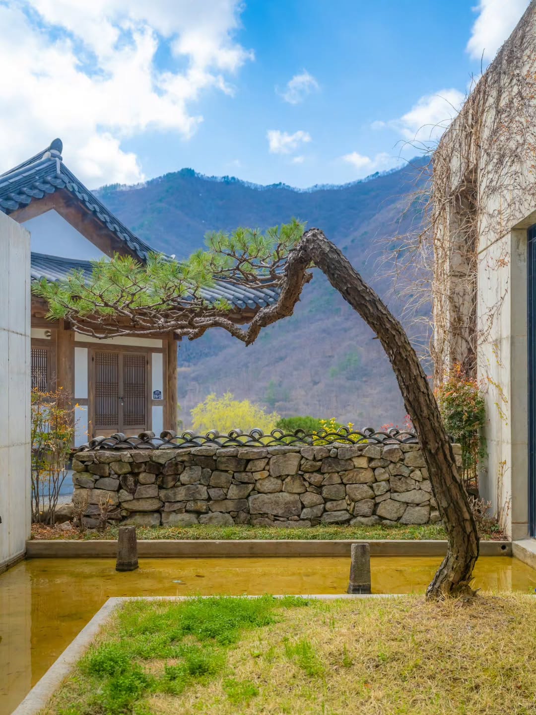 Thăm nhà “đại quân Lee Ahn” Byeon Woo Seok trong Perfect Crown插图8