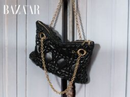 bzvn-tui-dior-crunchy-mang-dau-an-jonathan-anderson-trong-hoa-tiet-cannage-THUMB