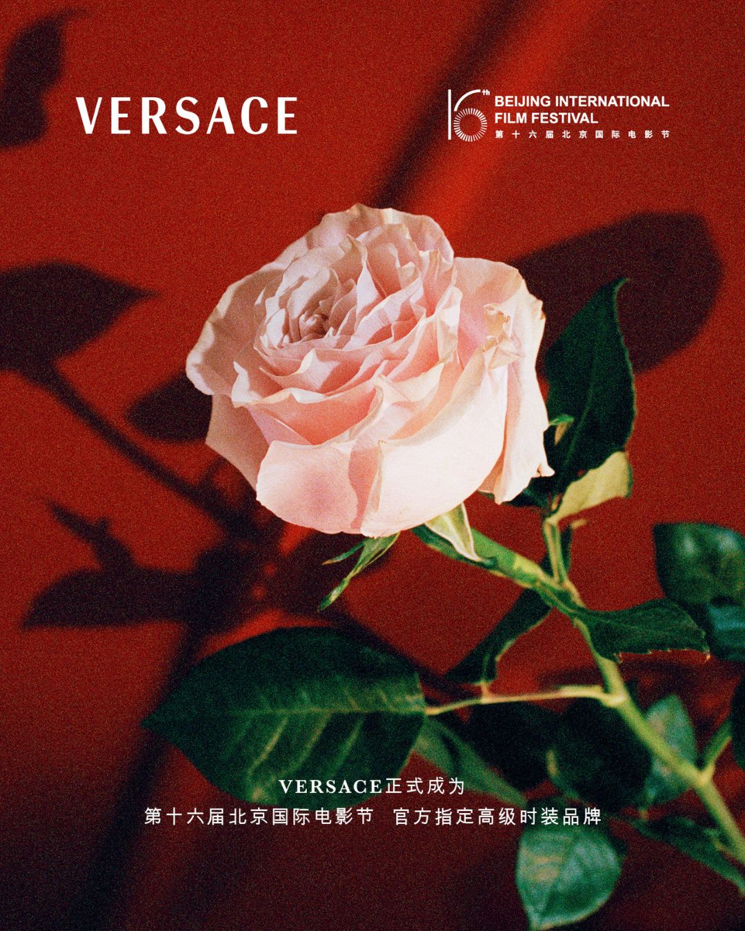 bzvn-versace-tiep-tuc-dong-hanh-cung-lhp-quoc-te-bac-kinh-lan-thu-16- 5