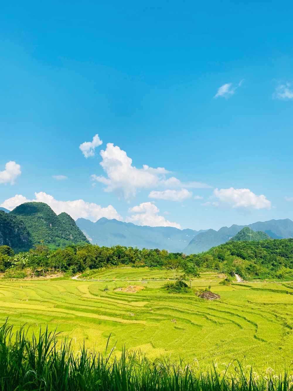 địa điểm ngắm lúa chín ở Pù Luông