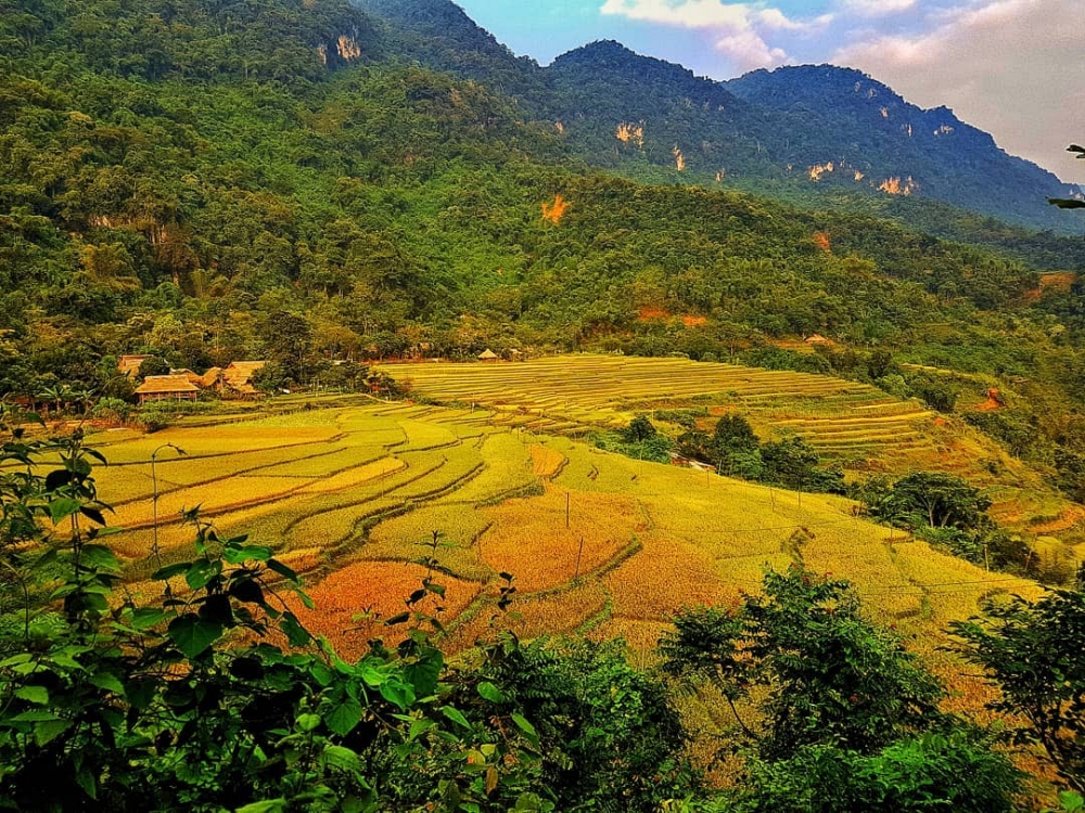 Các địa điểm ngắm lúa chín ở Pù Luông đẹp nhất là ở đâu?插图10