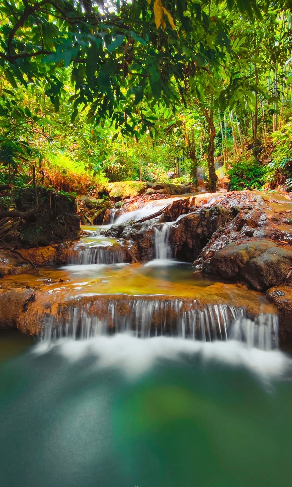 Địa điểm ngắm lúa chín ở Pù Luông