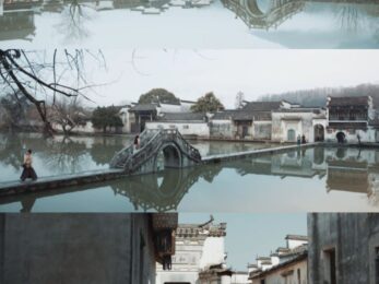 bzvn-ngon-ngu-ong-kinh-tinh-te-trong-nhung-tap-dau-tien-cua-phim-gia-nghiep-5