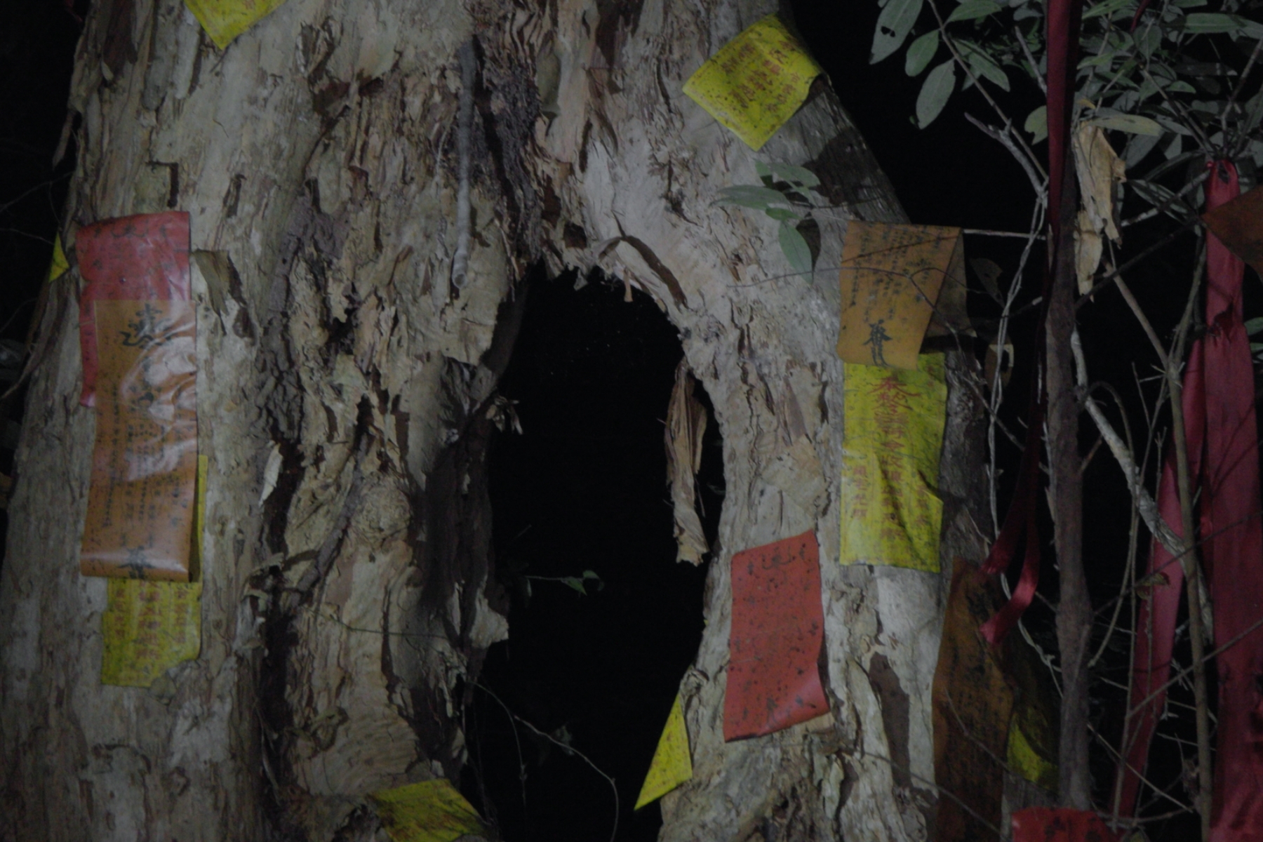 bzvn-phim-viet-found-footage-lau-chu-hoa00001
