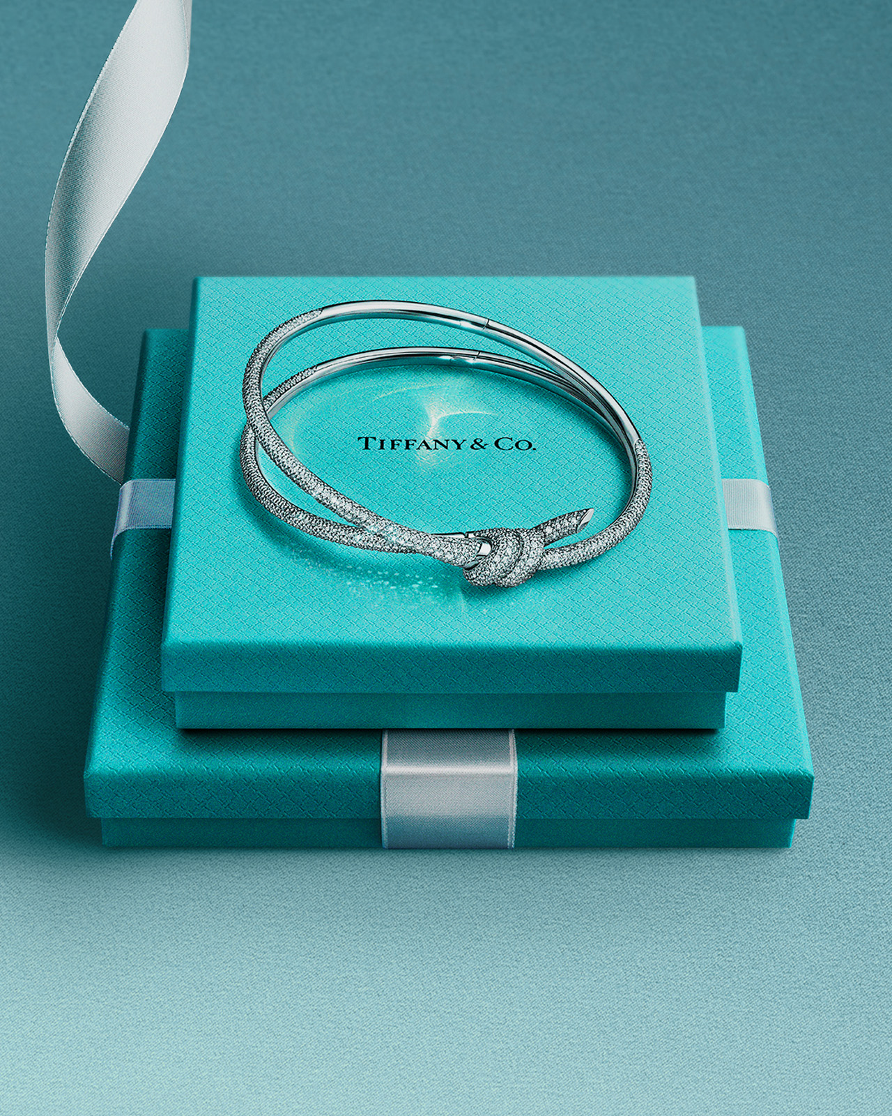 Nhân Ngày của Mẹ, Tiffany & Co. kể chuyện mẫu tử qua trang sức插图3