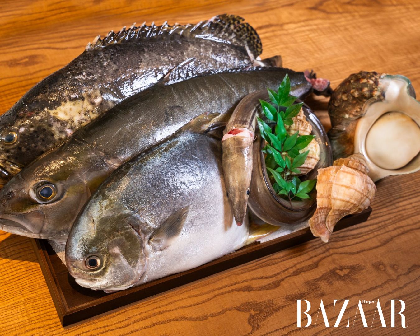 Top 6 nhà hàng omakase ngon, sang và đẹp tại Hà Nội cho người yêu ẩm thực Nhật Bản插图7