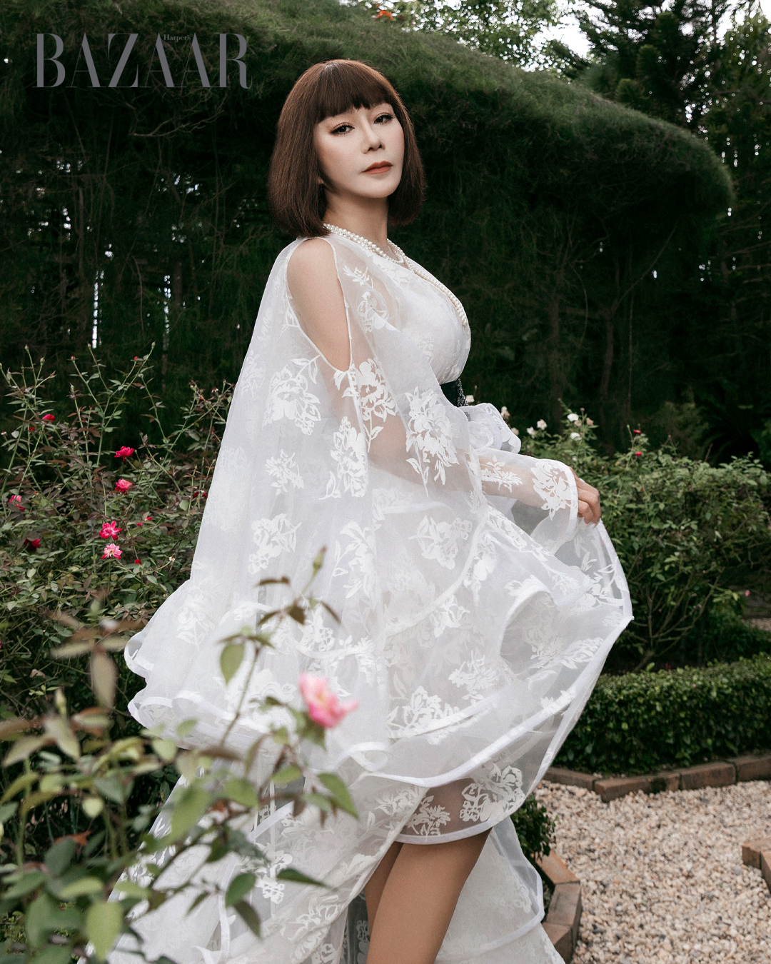 Di Ái Hồng Sâm 