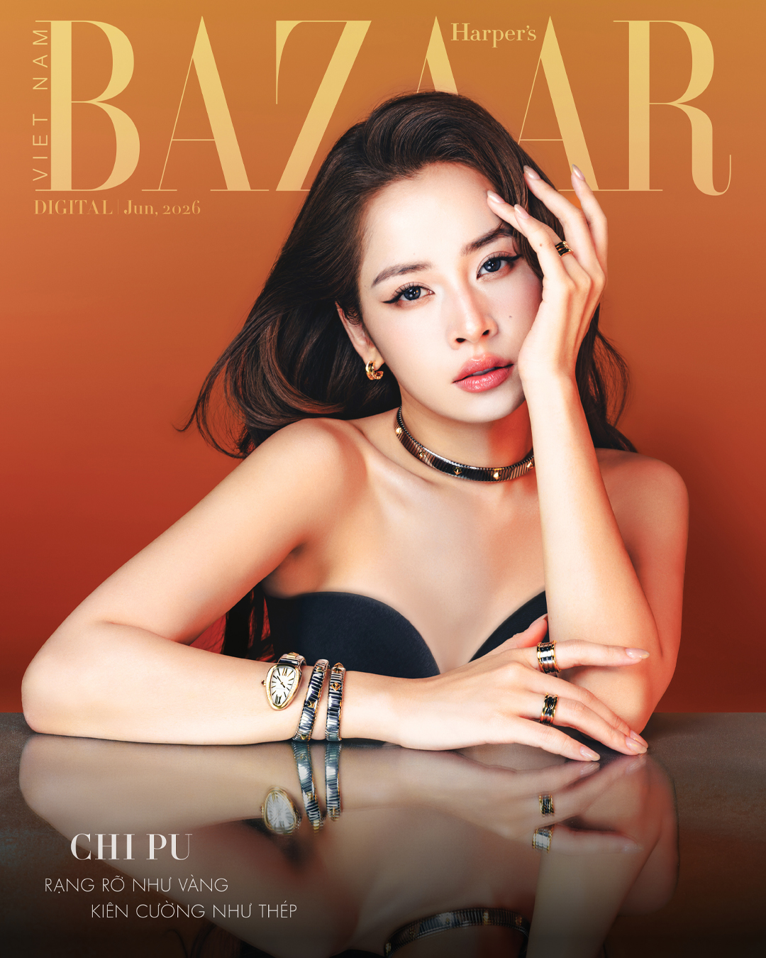 bzvn-chi-pu-bvlgari-gold-and-steel (1)