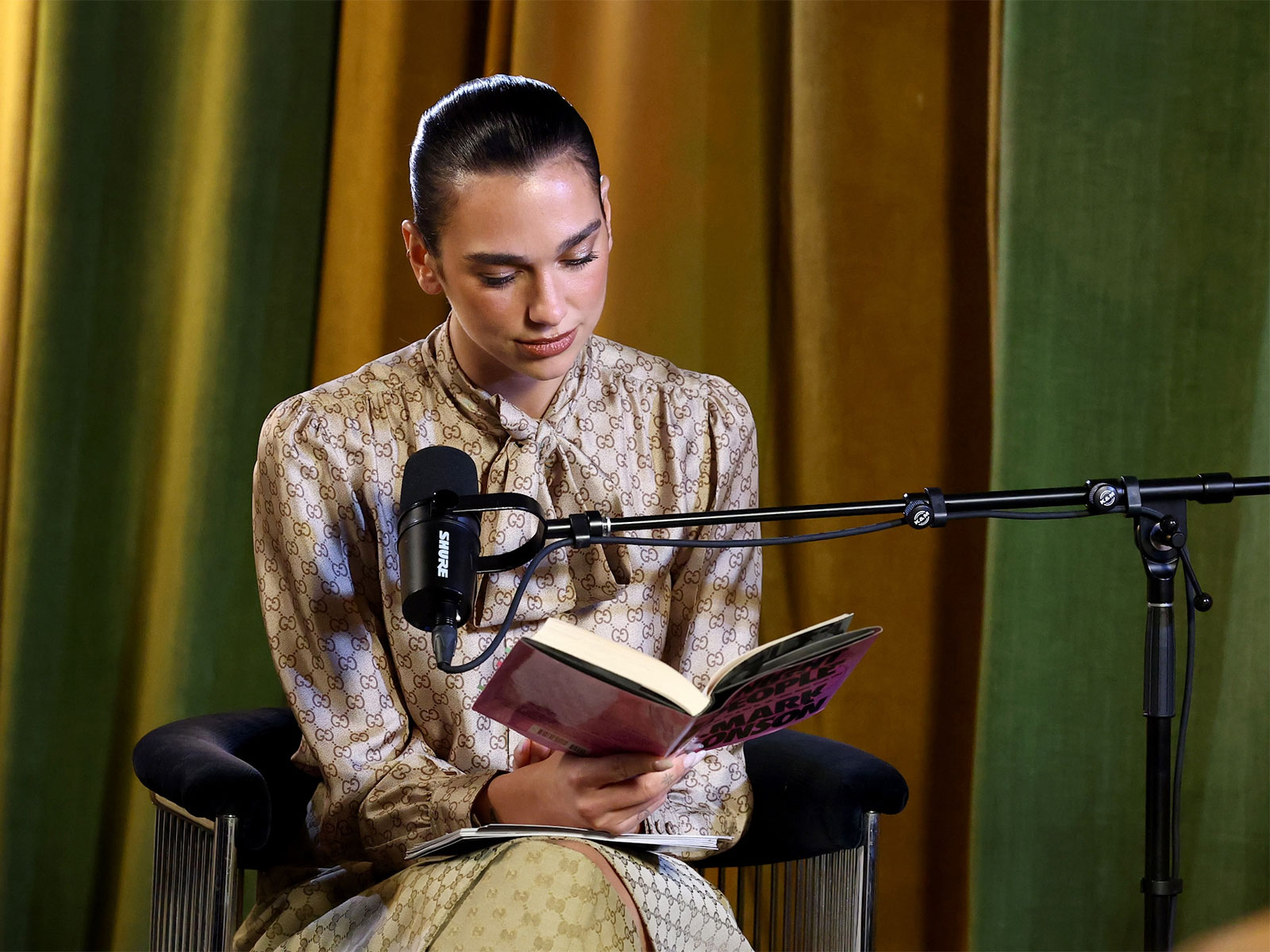 Dua Lipa mở thư viện cho những cuốn sách từng bị cấm插图