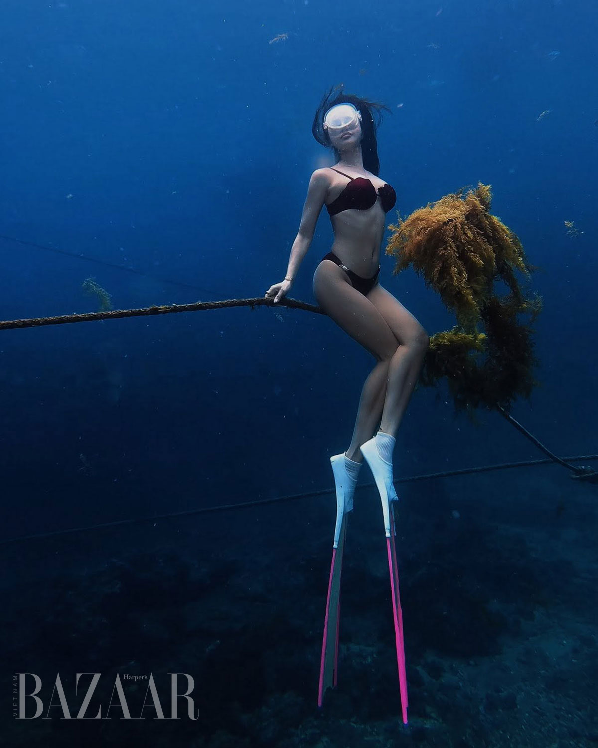 Lặn tự do freediving như Diệp Lâm Anh là gì, làm sao nhập môn?插图