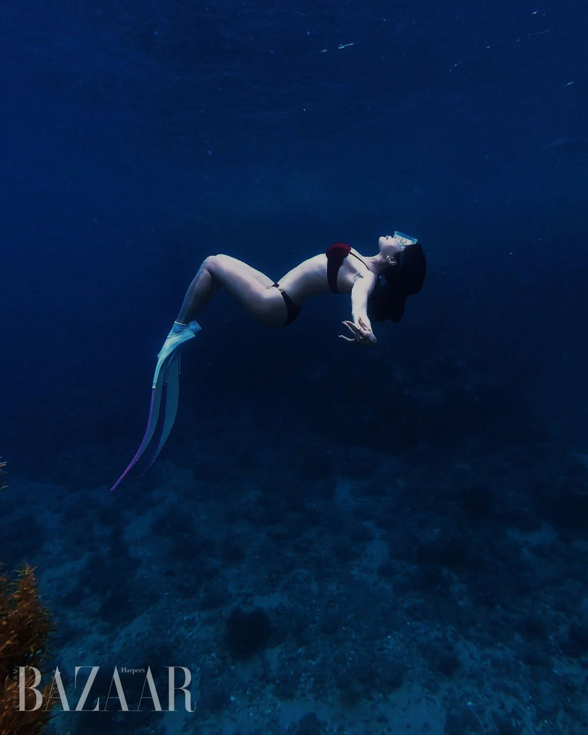 Lặn tự do freediving như Diệp Lâm Anh là gì, làm sao nhập môn?插图1