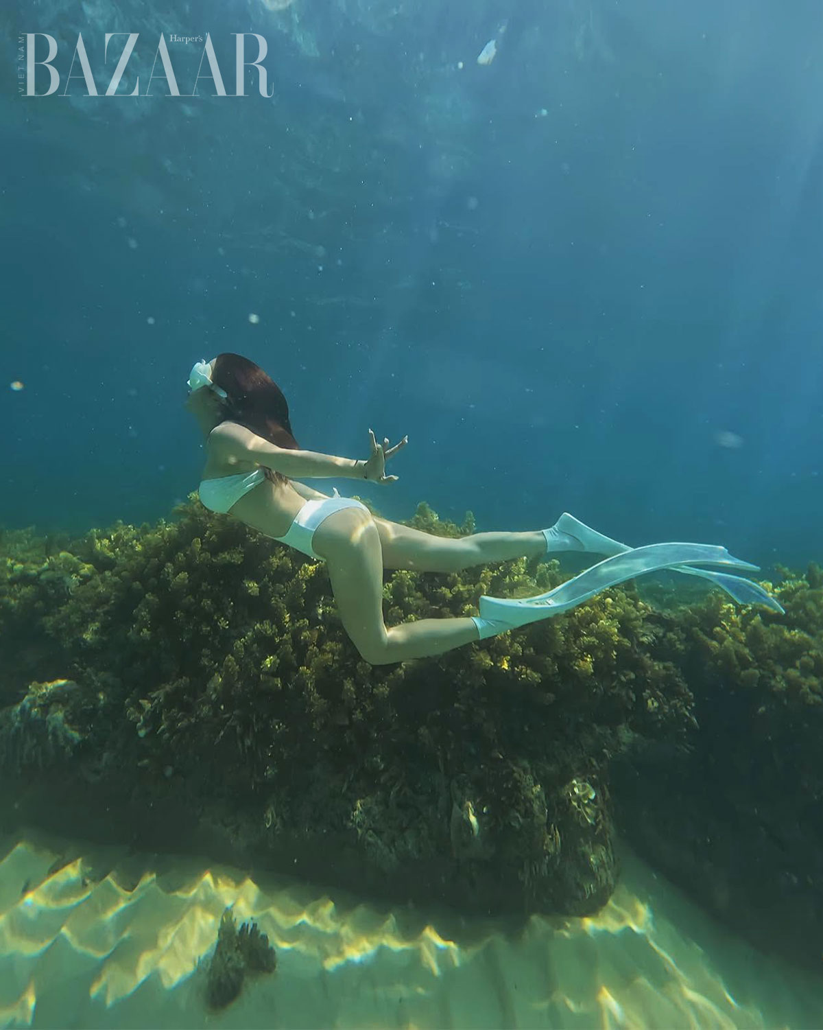 Lặn tự do freediving như Diệp Lâm Anh là gì, làm sao nhập môn?插图5