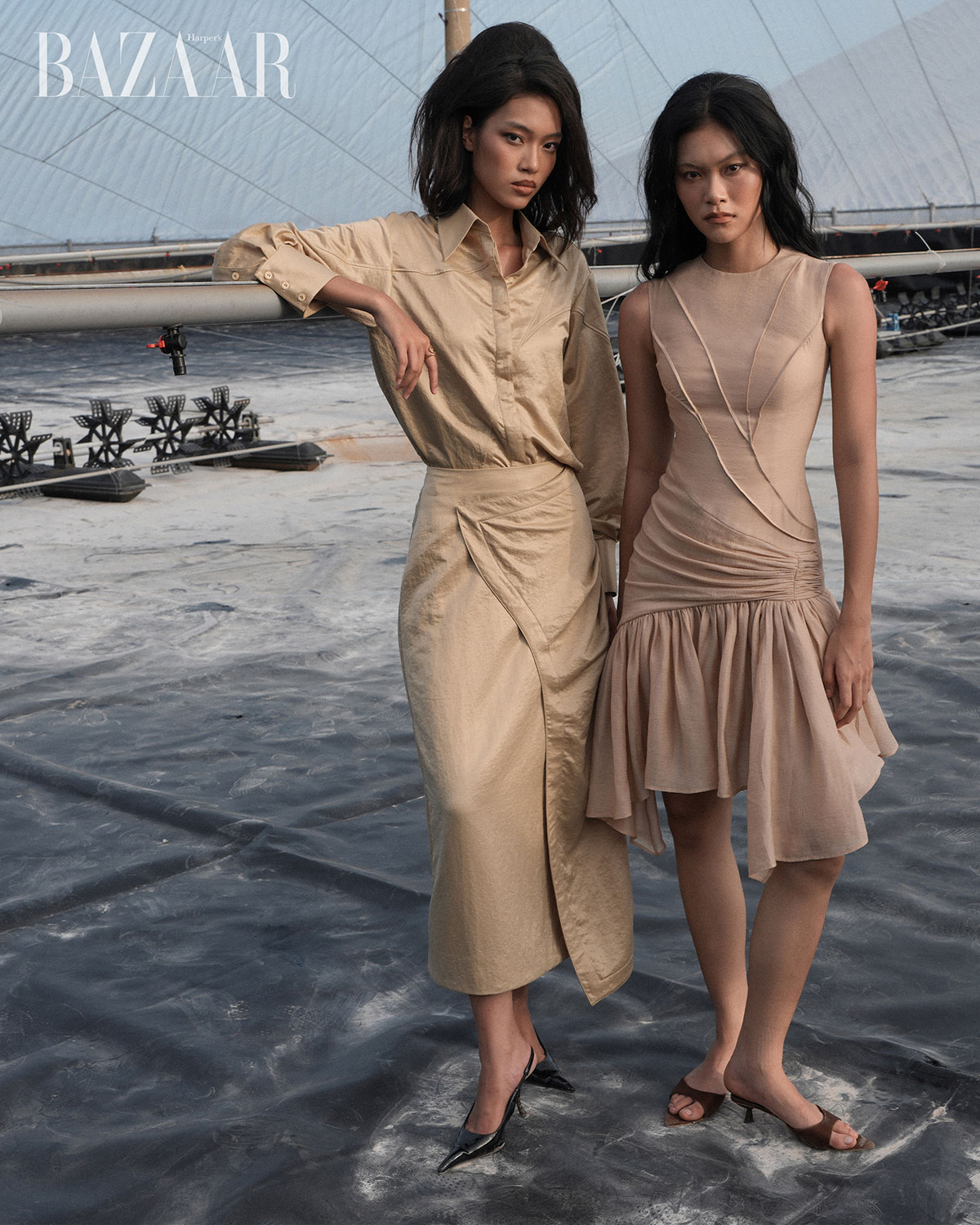 Phan Dang Hoang Resort 2026: Tiếng Gà Trưa插图1