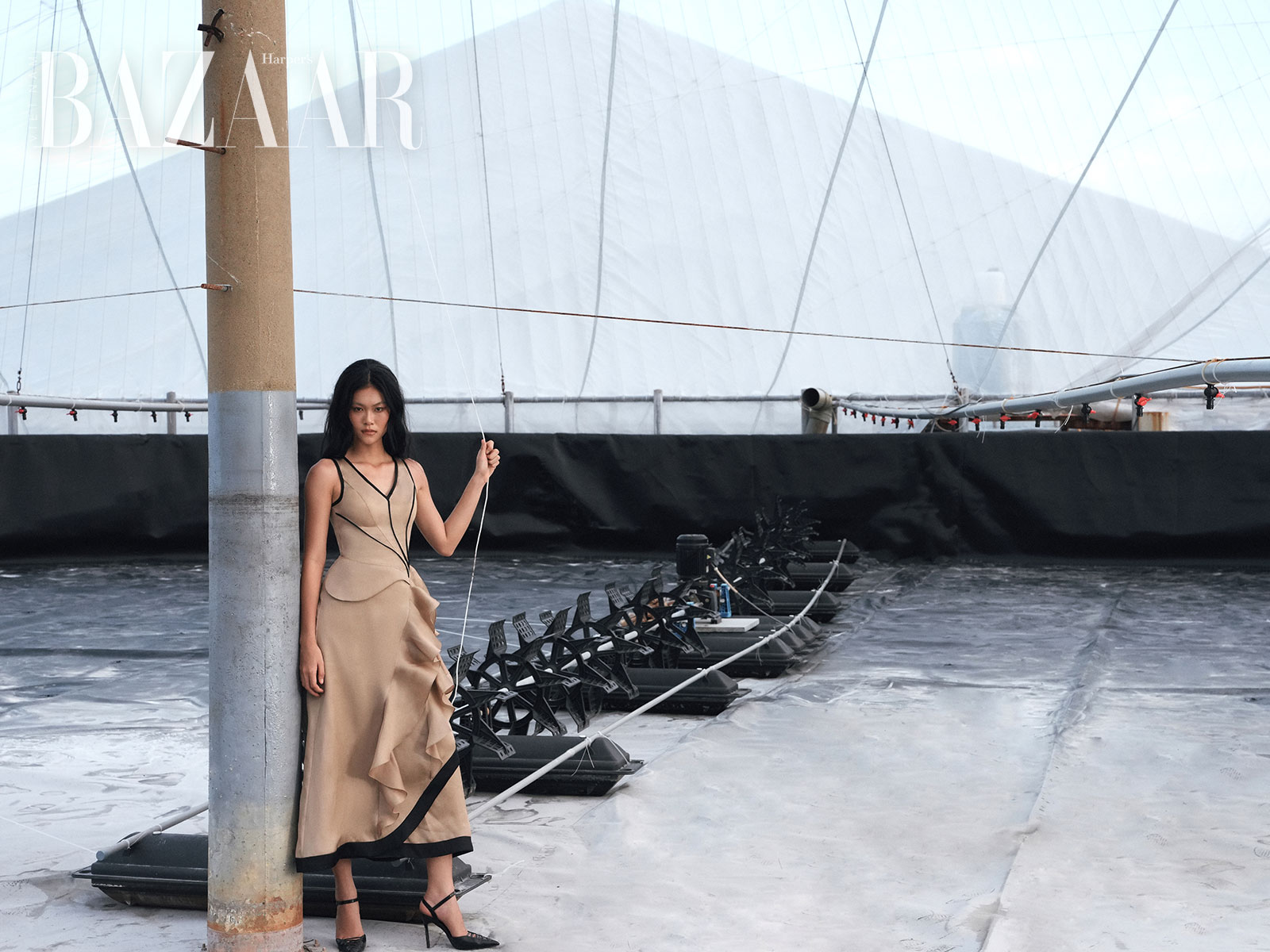 Phan Dang Hoang Resort 2026: Tiếng Gà Trưa插图2