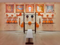 Luxury Fitness
