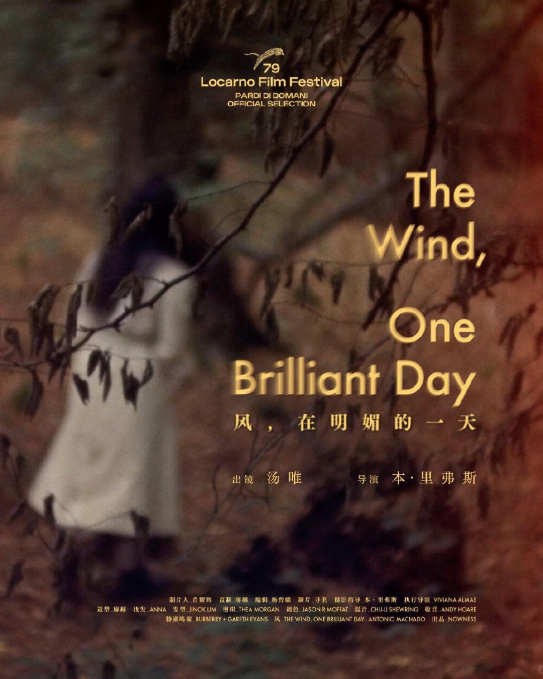 bzvn-phim-ngan-the-wind-one-brilliant-day-cua-thang-duy-lot-vao-de-cu-lhp-quoc-te-lorcano-1