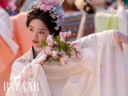 bzvn-an-tuong-dieu-gi-ve-dang-an-hy-trong-hoa-khai-cam-tu- thumbnail