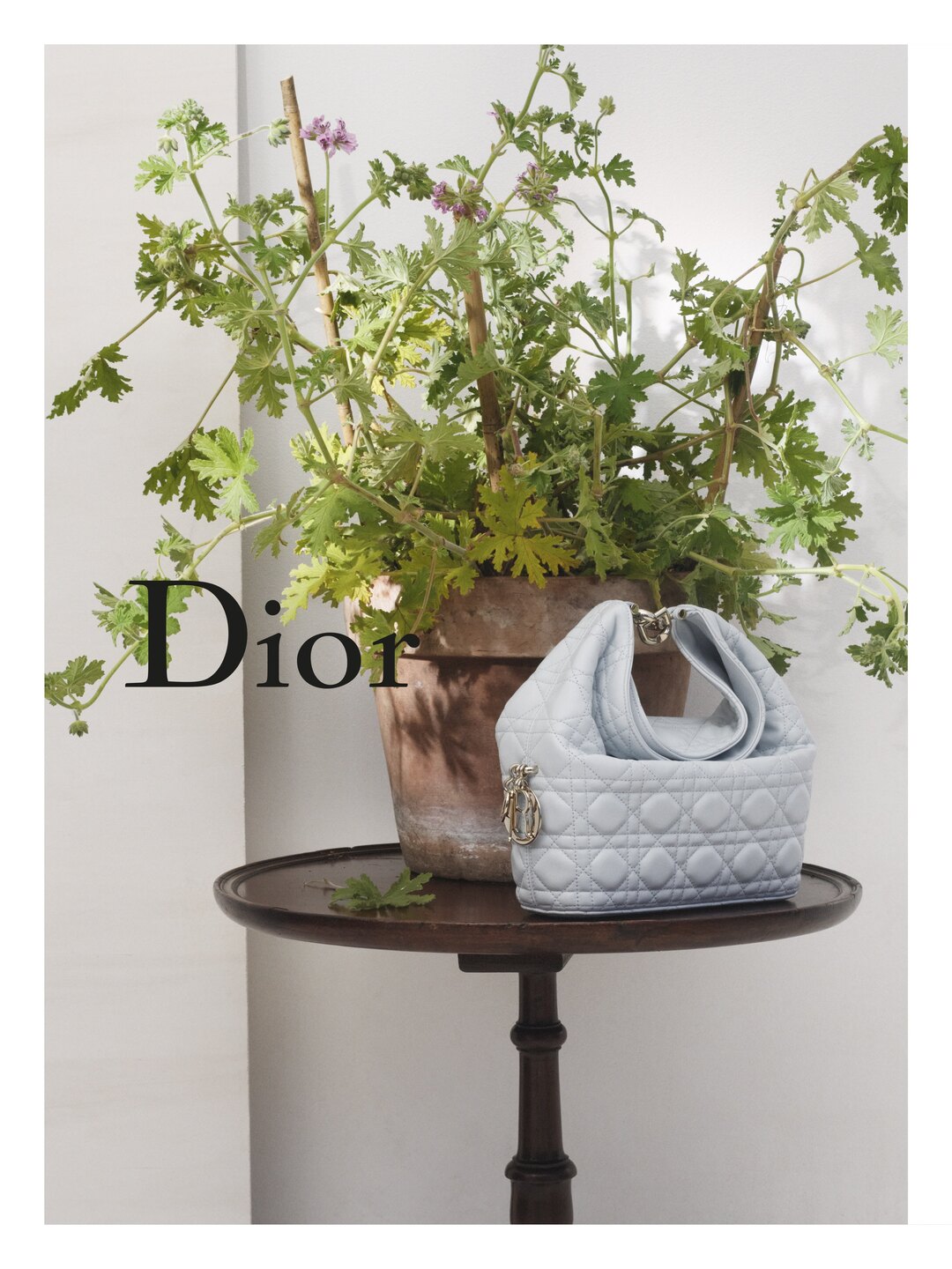 bzvn dior toujours tui xach moi thu dong 2026 jonathan anderson00002