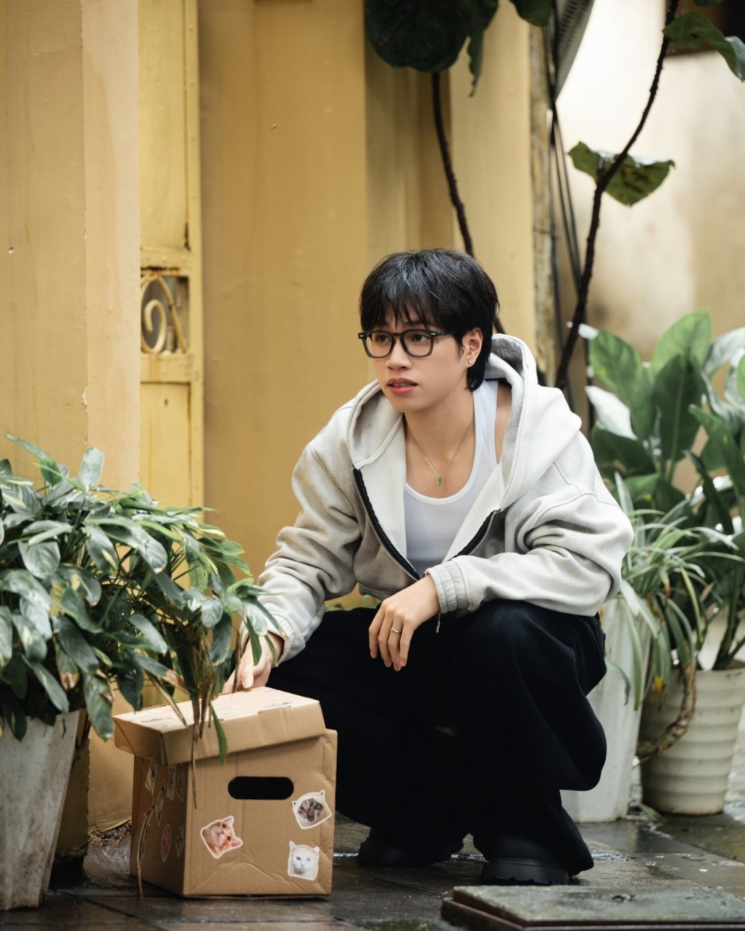 KHOI VU casting hơn 300 em mèo cho MV HN&SG插图2