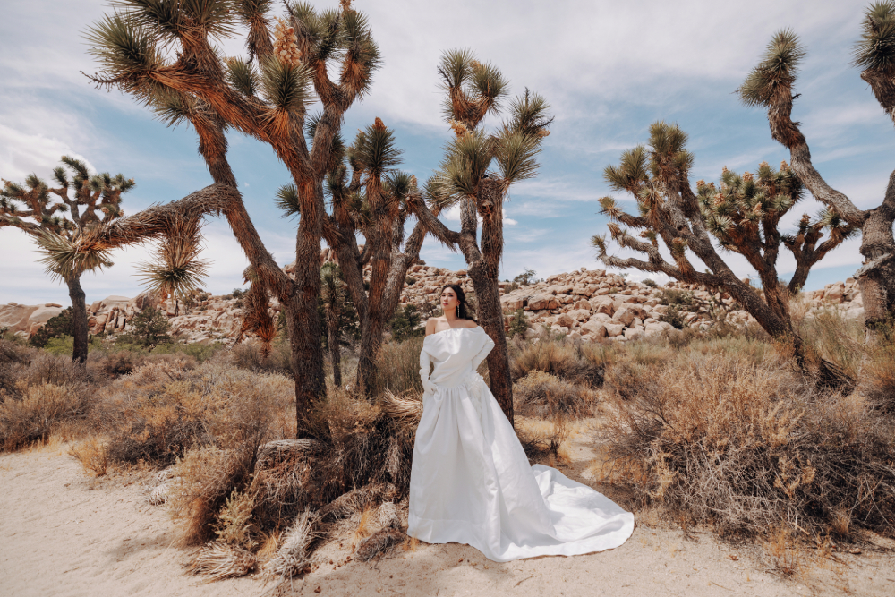 Thời trang nghỉ dưỡng của VUNGOC&SON đến công viên Joshua Tree nước Mỹ插图