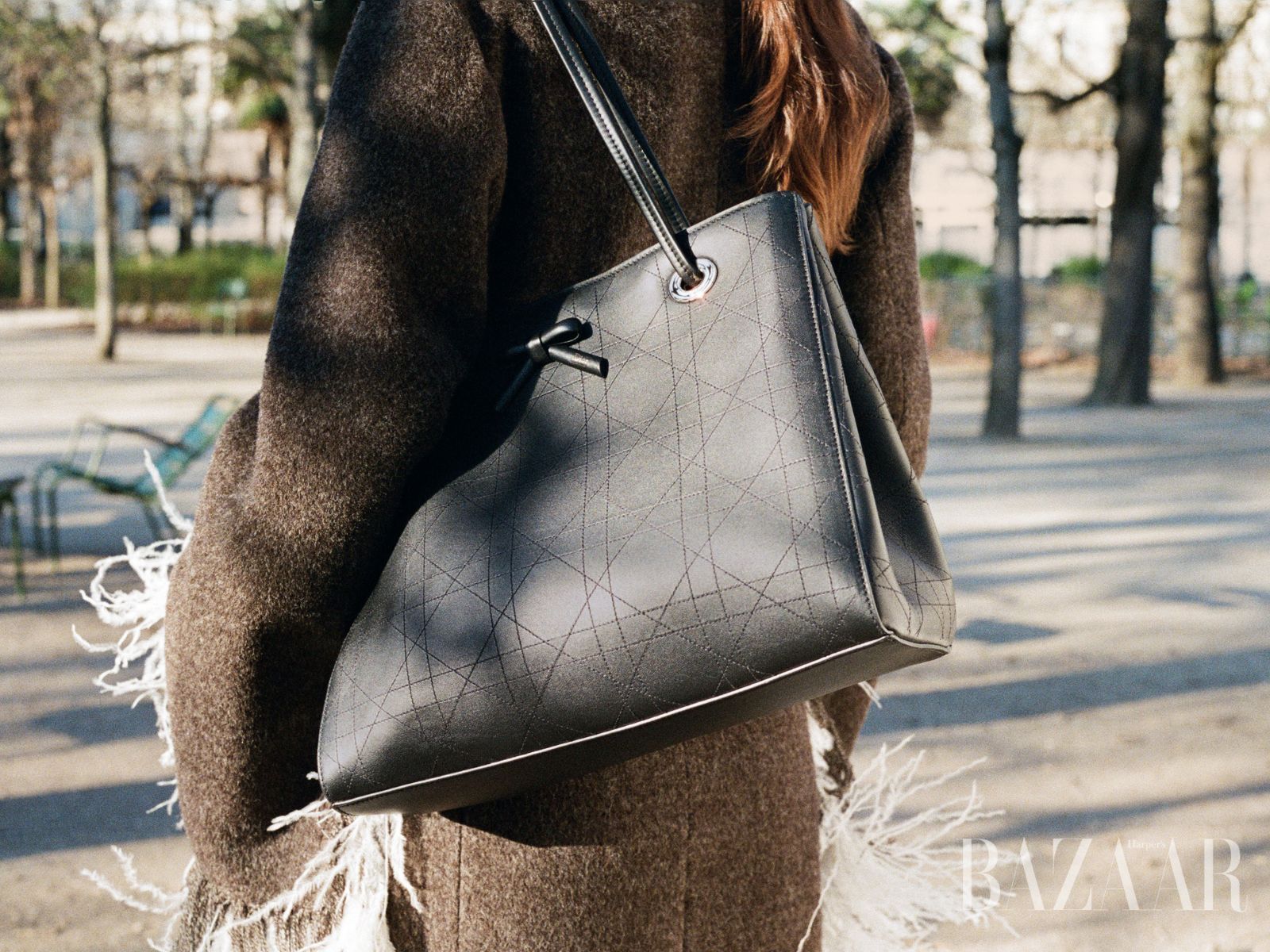 bzvn thumb dior thu dong 2026 tui xach promenade shopper
