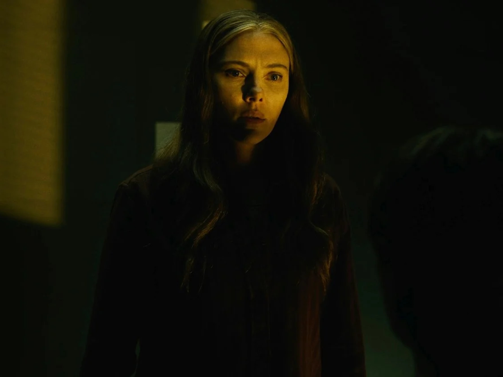bzvn thumb scarlett johansson phim kinh di the exorcist martyrs
